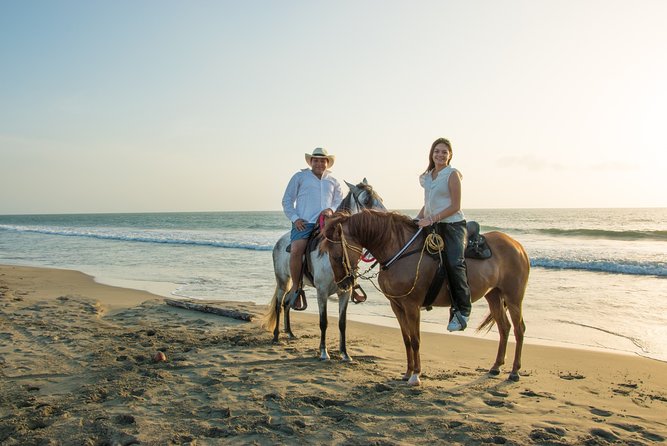 Horseback Riding Tour in Beach of Cartagena - Leaving Cartagena for the Paso Fino ranch