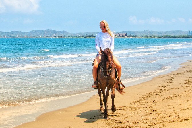 Horseback Riding Tour in Beach of Cartagena - Is $161 a fair price?
