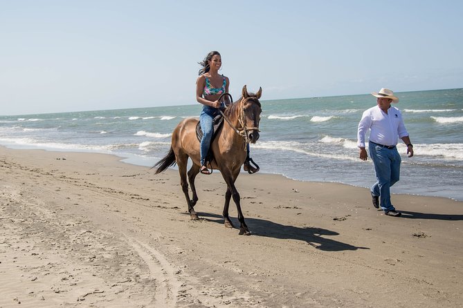 Horseback Riding Tour in Beach of Cartagena - Choosing a horse for your ability
