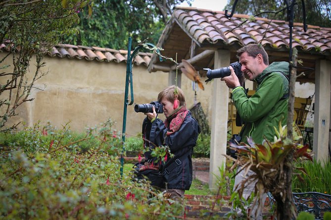 Hummingbird Birdwatching Encounter - Half Day - Leaving Bogotá for a cool mountain morning