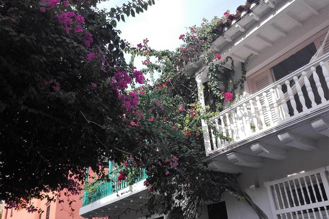 Into the Walls of The City: A Self-Guided Audio Tour - Start at the Clock Tower and enter the old city