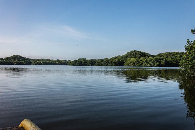 Into the Wild: Canoeing & Birdwatching in La Boquilla’s Untouched - Leaving Cartagena for La Boquilla