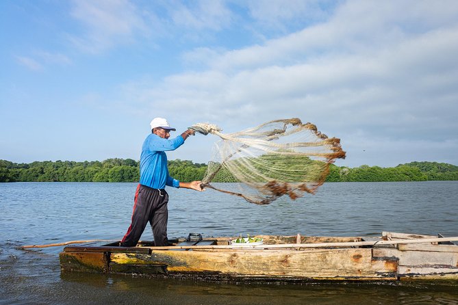 Into the Wild: Canoeing & Birdwatching in La Boquilla’s Untouched - An island homestead and an unexpected cultural visit