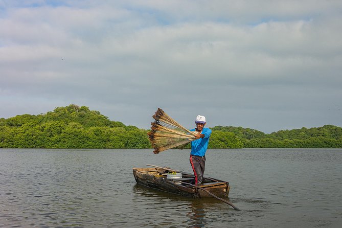 Into the Wild: Canoeing & Birdwatching in La Boquilla’s Untouched - What the private price includes