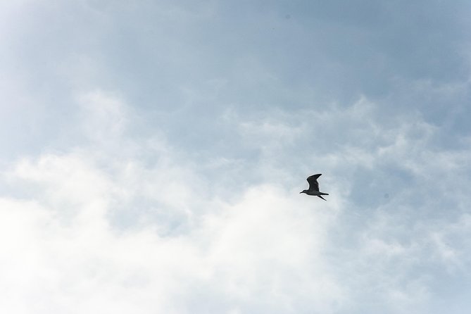 Into the Wild: Canoeing & Birdwatching in La Boquilla’s Untouched - Entering Ciénaga de La Virgen by canoe