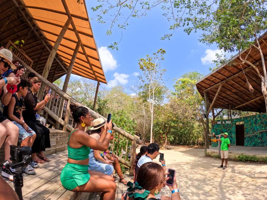 Isla Barú: Beach Club Access and Tour of the National Aviary - Key points to know before you go