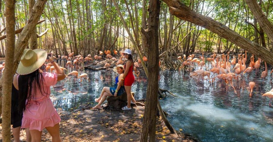 Isla Barú: Beach Club Access and Tour of the National Aviary - Practical advice for a smoother day