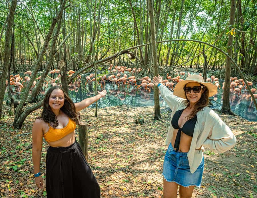 Isla Barú: Beach Club Access and Tour of the National Aviary - Why combine the aviary with Playa Blanca?