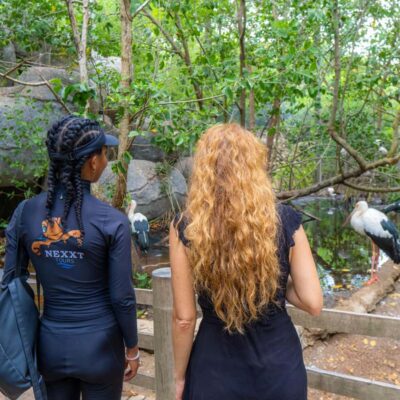 Isla Barú: Beach Club Access and Tour of the National Aviary
