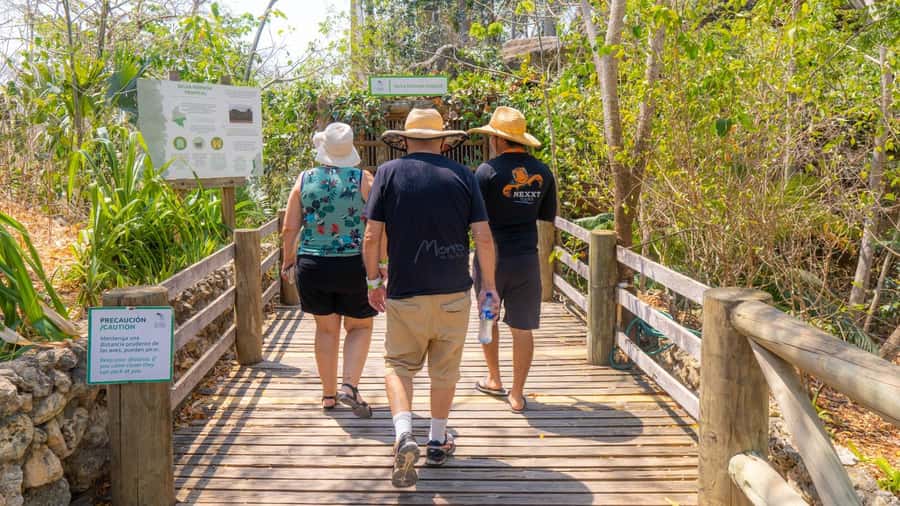 Isla Barú: Beach Club Access and Tour of the National Aviary - Who will enjoy this day most?