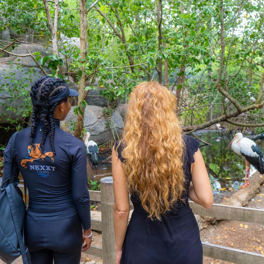 Isla Barú: Beach Club Access and Tour of the National Aviary - Starting in Cartagena and crossing the Barú Bridge