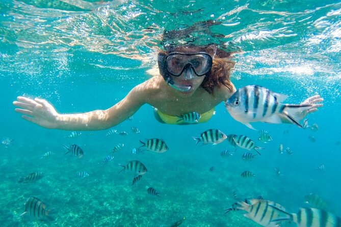Islas del Rosario plus Bioluminescence Experience - Starting in Cartagena at 7:30 a.m.