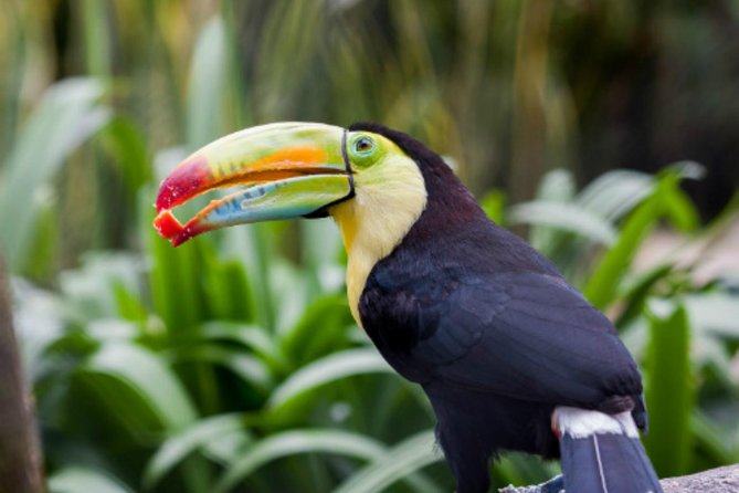 Jaime Duque Park Private Tour from Bogotá. (8 Hrs.) - Why Jaime Duque Park makes an unusual day trip