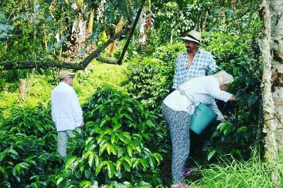 Jardín: Horseback Ride with Coffee Villa and Waterfall - Who will enjoy this Jardín day trip