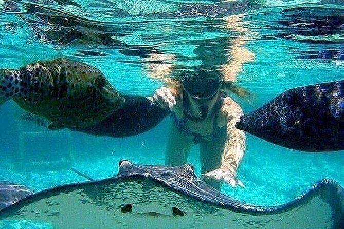 Johnny Cay Tour Haynes Cay Aquarium, Watching and Mangroves - What this San Andrés boat tour actually covers