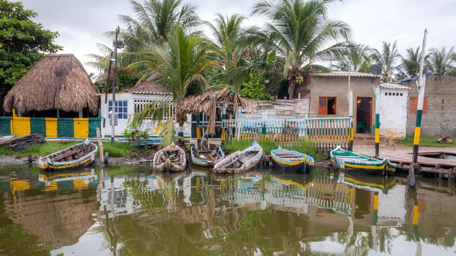 La Boquilla: 3-Hour Canoe Tour through the Mangroves - Meeting your local canoe team