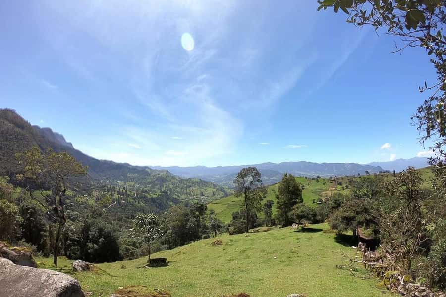 La Chorrera and Chiflon Waterfalls Private Hike Tour - Cloud forest, mist, plants, and wildlife