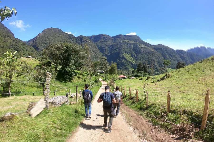 La Chorrera and Chiflon Waterfalls Private Hike Tour - A private guide can change the day