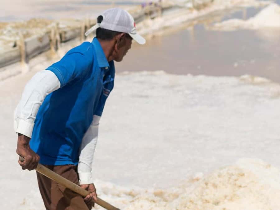 La Guajira: Manaure Salt Flats & Flamingos Day Trip - Five Details That Make This Day Trip Worth Considering