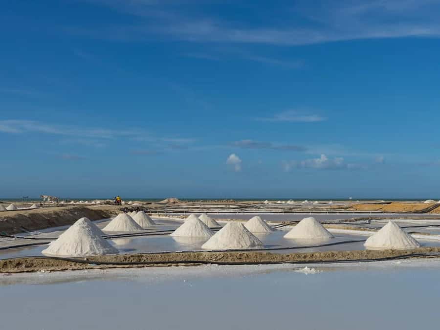 La Guajira: Manaure Salt Flats & Flamingos Day Trip - Pink Ponds and the Practical Side of Salt Production