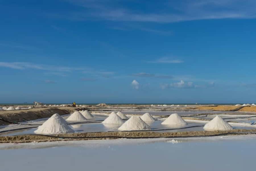 La Guajira: Manaure Salt Mines Tour and Wayuu Ranch - Why Manaure’s salt matters to La Guajira