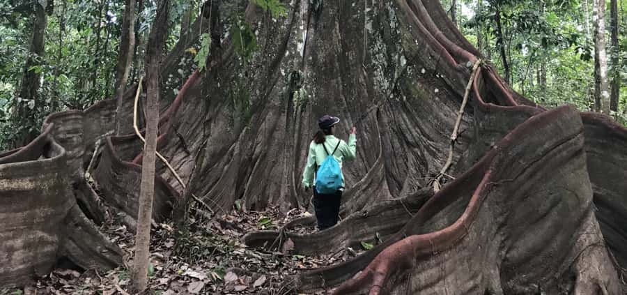 Leticia: Amazing Three Day Jungle Tours - Pink dolphins at sunset and spiders after dark