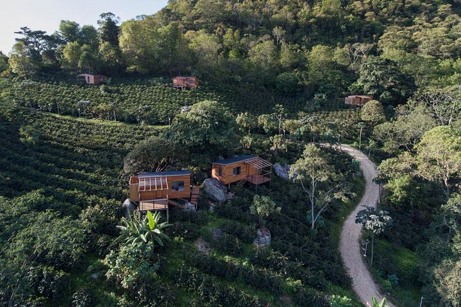 Luxury Coffee Plantation Private Tour (9 Hrs.) - Key points to know before booking