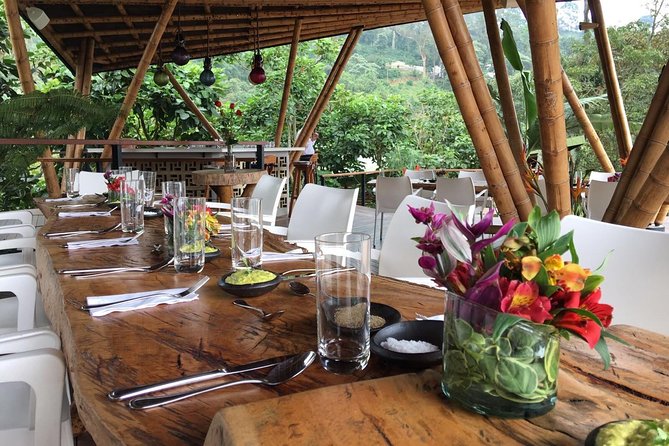 Luxury Coffee Plantation Private Tour (9 Hrs.) - Why this coffee day trip feels different