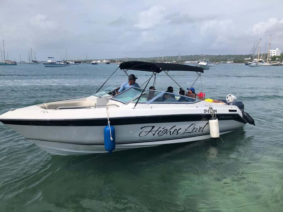Luxury private tour boat 6 in 1 - Old Point Mangrove: a slower half-hour