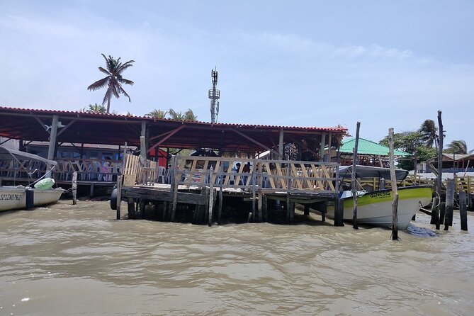 Magdalena River and Bocas de Cenizas Tour - Why the Magdalena River makes this tour worthwhile