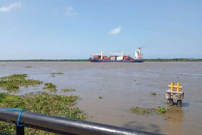 Magdalena River and Bocas de Cenizas Tour - The walk to the river mouth