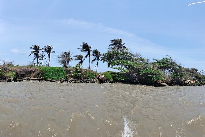 Magdalena River and Bocas de Cenizas Tour - Lunch with a local touch
