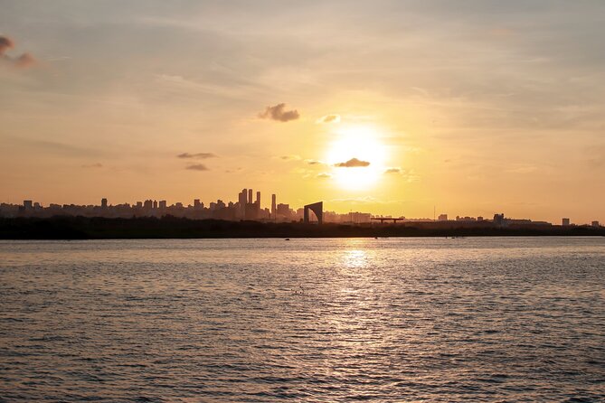 Magdalena River Tour MAGDATOURS - The First View: Barranquilla from the Water
