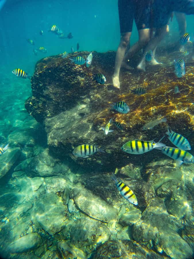 Magdalena: Tayrona Park Cruise with Snorkeling & Beaches - Meeting the Tranquila at Santa Marta Marina