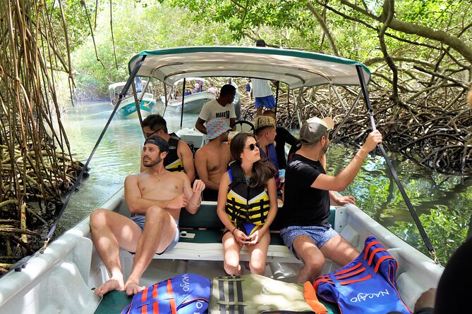 Magical Full-Day Tour Through The Mangroves And The Beach In Isla de Barú - The Mangrove Boat Ride and Wildlife