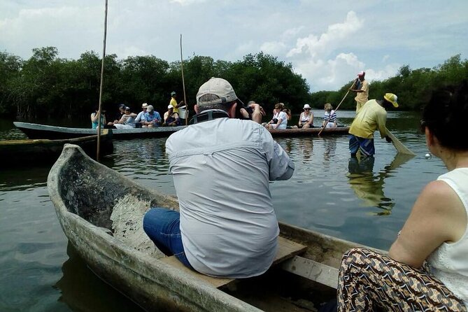 Mangrove trail + Artisanal fishing class + Beach club - Why this Cartagena outing feels different