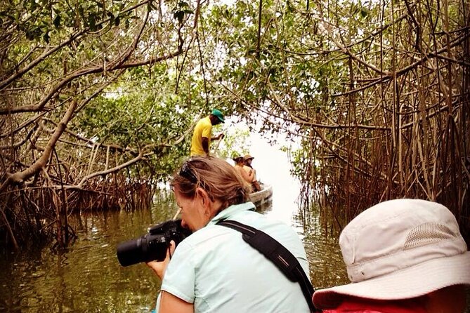 Mangrove trail + Artisanal fishing class + Beach club - Paddling through Juan Polo’s mangrove tunnels