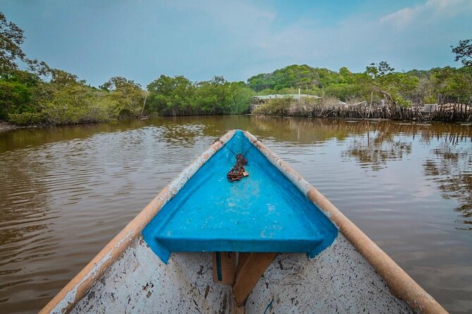 Mangrove trail + Artisanal fishing class + Beach club - The artisanal jaiba fishing demonstration