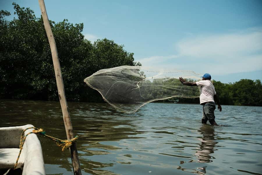Mangroves, cultural fishing, black heritage town and lunch - Trying the fishing net in La Boquilla
