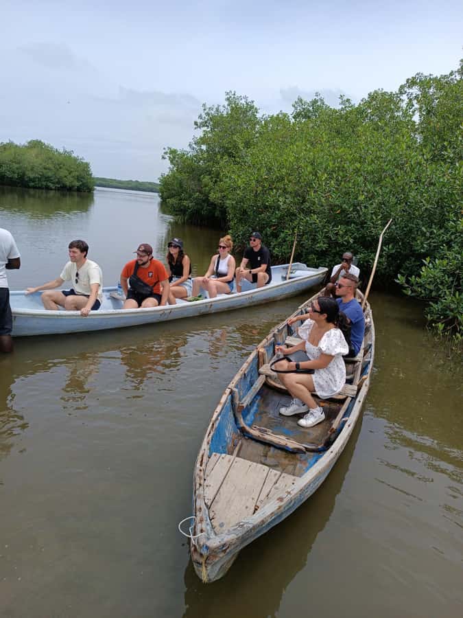 Mangroves, cultural fishing, black heritage town and lunch - Is $49 a fair price?