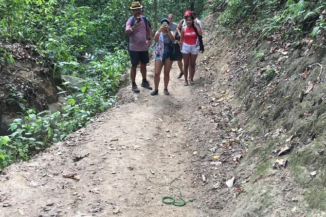 Maravilloso tour Parque Tayrona desde Cartgena, sector Cabo San del Guia - The Two-Hour Walk Through Tayrona
