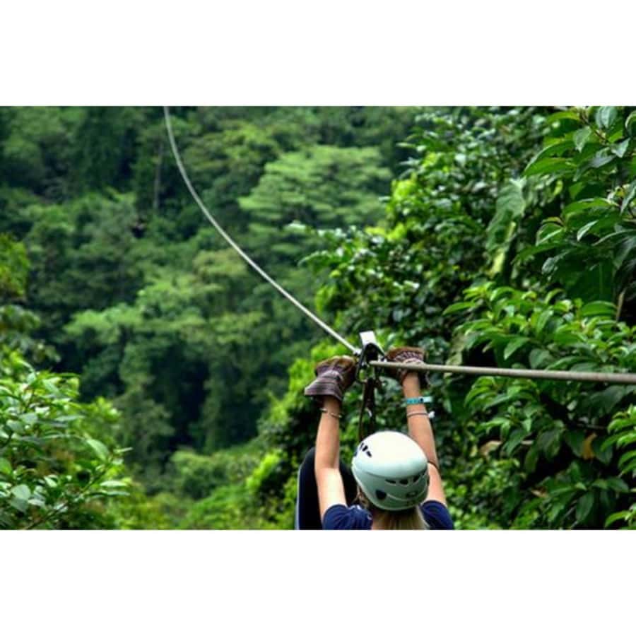 Medellin: 4-Hour Zip-Line Adventure - Arriving at Medellin’s green reserve