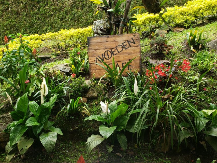 Medellin: Avoeden Café Coffee Brewing Workshop - Who will enjoy this workshop most?