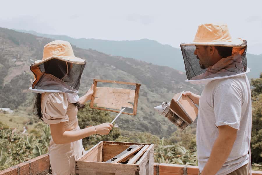 MEDELLÍN: Beekeeping Experience in coffee farm - Quick points about this Antioquia farm visit