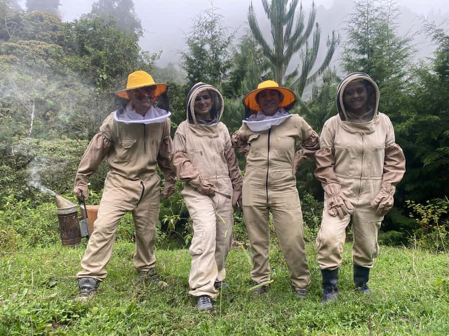 MEDELLÍN: Beekeeping Experience in coffee farm - Starting with coffee, tea, and a local breakfast