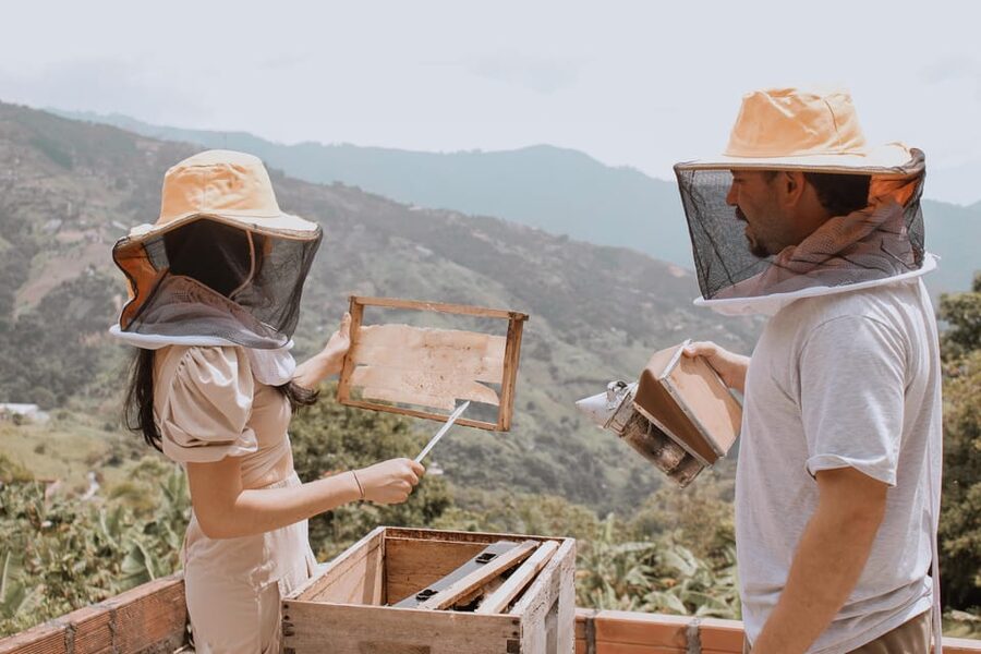 MEDELLÍN: Beekeeping Experience in coffee farm - What $50 gets you