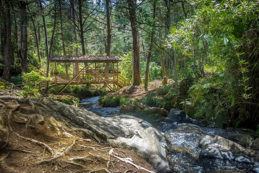 Medellín: Botanical Garden and Arvi Park City Tour - Key points to know before booking