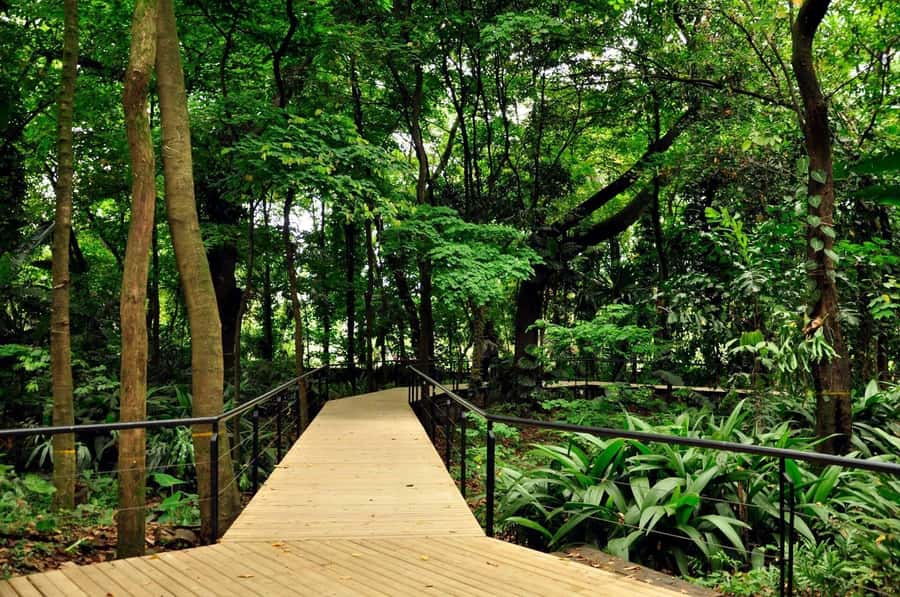 Medellín: Botanical Garden and Arvi Park City Tour - Antioquia University and downtown context