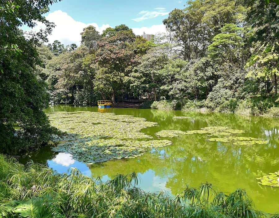 Medellín: Botanical Garden and Arvi Park City Tour - The guide can shape the whole experience