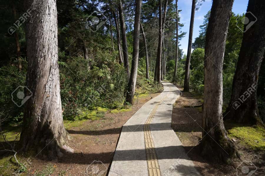Medellín: Botanical Garden and Arvi Park City Tour - Who should book this Medellín tour?